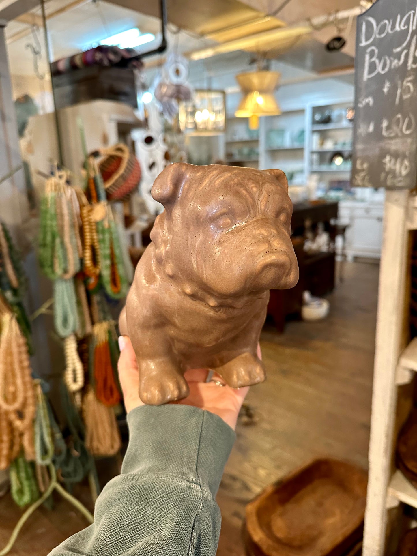 Large Brown Bulldog (12TL)