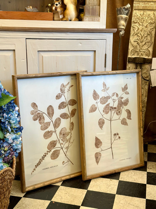 Brown Leaf Prints with Wooden Frame