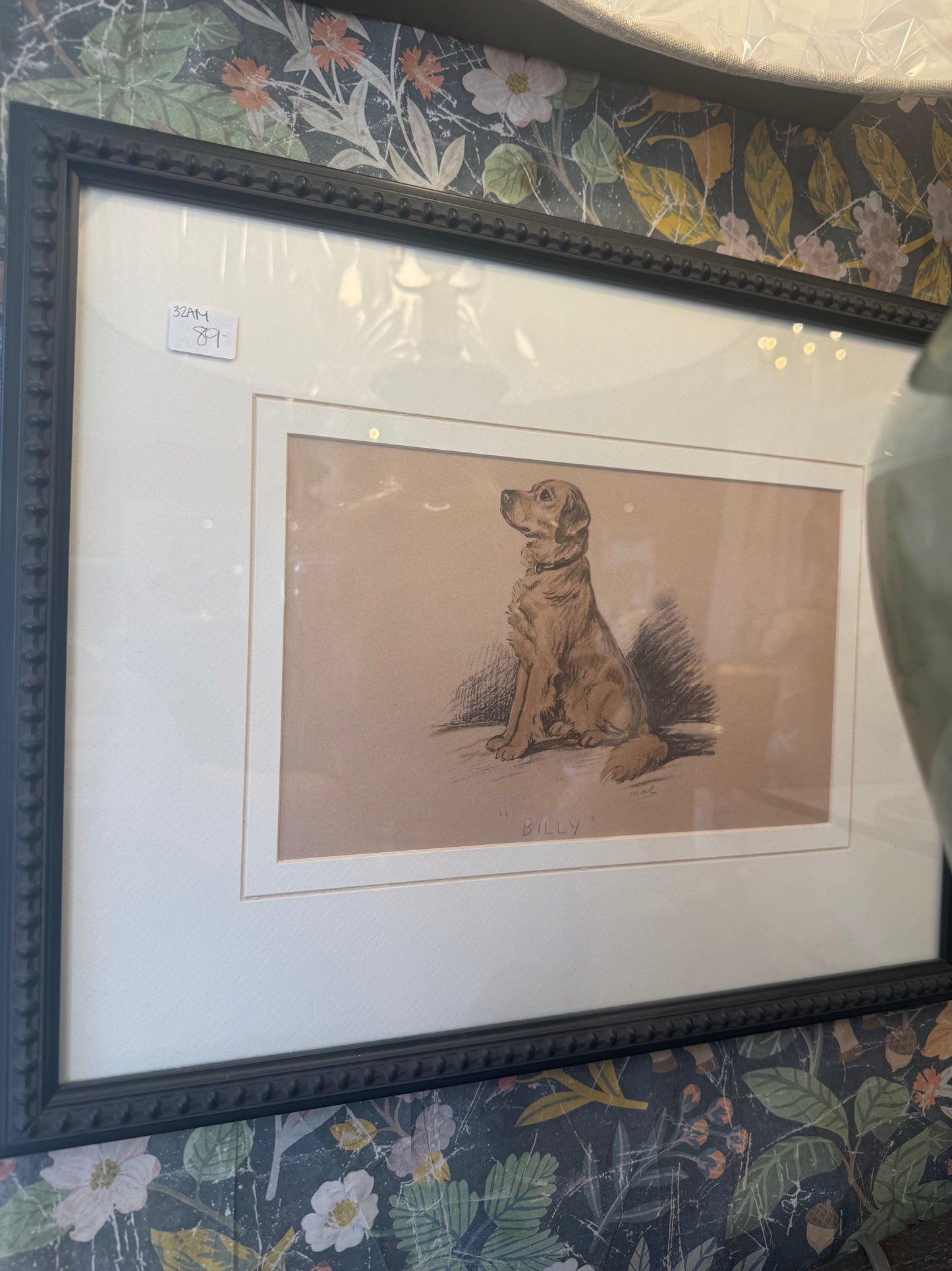 Matted Retriever Picture