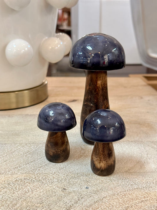 Blue/Brown Wooden Mushroom's